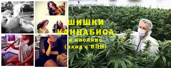ешки Белокуриха