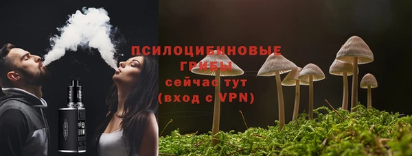 дживик Богородск
