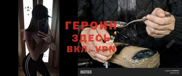 прущие грибы Беломорск