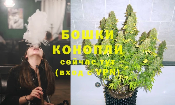 прущие грибы Беломорск