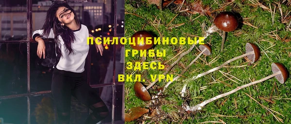 дживик Богородск