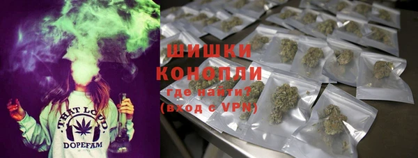 прущие грибы Беломорск