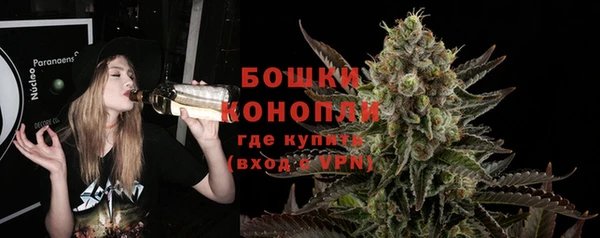 прущие грибы Беломорск